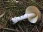 Párducgalóca (Amanita pantherina), Mátra. Fehér, csupasz tönk, alja peremesen gumós